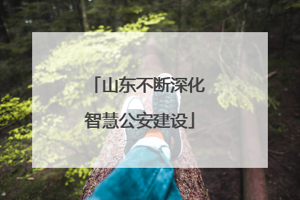 山东不断深化智慧公安建设