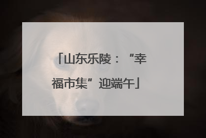 山东乐陵：“幸福市集”迎端午