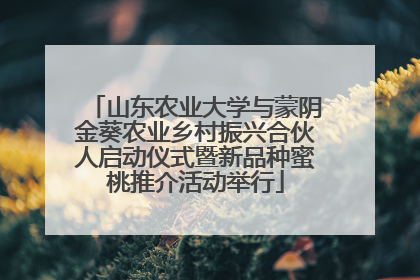 山东农业大学与蒙阴金葵农业乡村振兴合伙人启动仪式暨新品种蜜桃推介活动举行