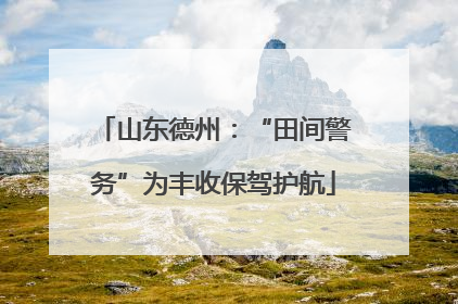 山东德州：“田间警务”为丰收保驾护航