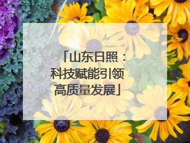 山东日照：科技赋能引领高质量发展
