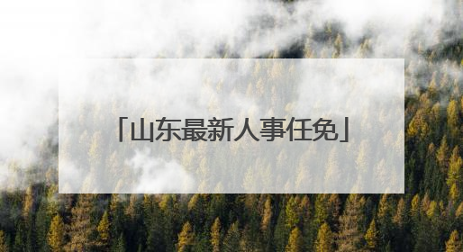 山东最新人事任免