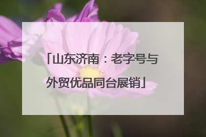 山东济南：老字号与外贸优品同台展销