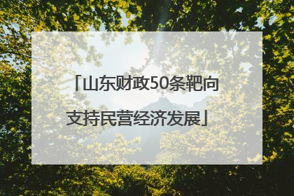 山东财政50条靶向支持民营经济发展