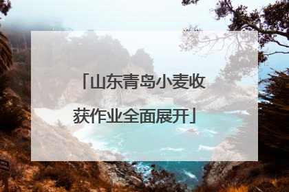 山东青岛小麦收获作业全面展开