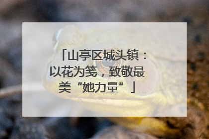 山亭区城头镇：以花为笺，致敬最美“她力量”