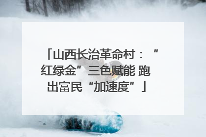 山西长治革命村：“红绿金”三色赋能 跑出富民“加速度”