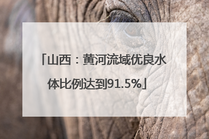 山西：黄河流域优良水体比例达到91.5%