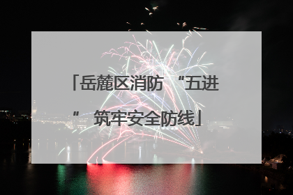 岳麓区消防 “五进” 筑牢安全防线