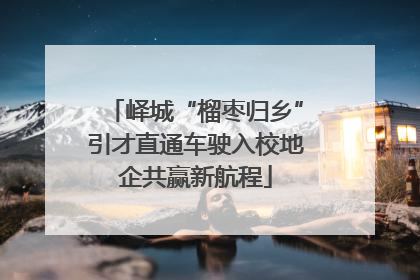 峄城“榴枣归乡”引才直通车驶入校地企共赢新航程