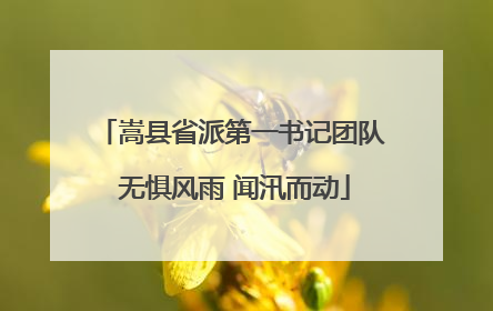 嵩县省派第一书记团队 无惧风雨 闻汛而动