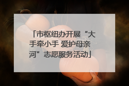 市枢纽办开展“大手牵小手 爱护母亲河”志愿服务活动
