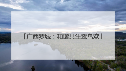 广西罗城：和谐共生鹭鸟欢
