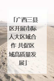 广西三县区开展市际人大区域合作 共促区域高质量发展
