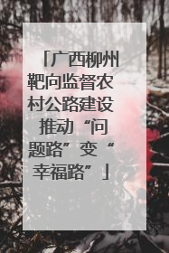 广西柳州靶向监督农村公路建设 推动“问题路”变“幸福路”