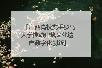 广西高校携手罗马大学推动建筑文化遗产数字化创新