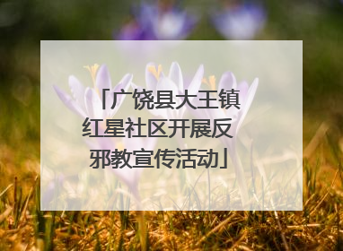 广饶县大王镇红星社区开展反邪教宣传活动