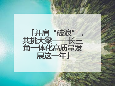 并肩“破浪”，共挑大梁——长三角一体化高质量发展这一年