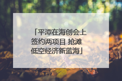 平潭在海创会上签约两项目 抢滩低空经济新蓝海
