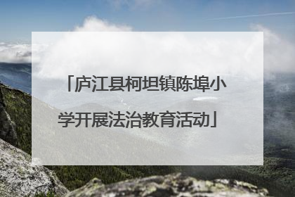 庐江县柯坦镇陈埠小学开展法治教育活动