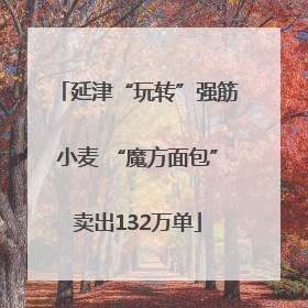 延津“玩转”强筋小麦 “魔方面包”卖出132万单