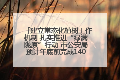 建立常态化植树工作机制 扎实推进“绿满陇原”行动 市公安局预计年底前完成1402亩绿化任务