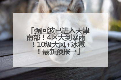 强回波已进入天津南部！4区大到暴雨！10级大风+冰雹！最新预报→