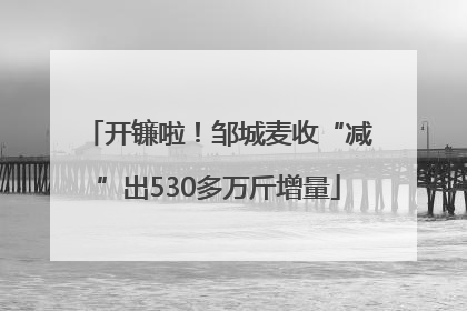 开镰啦！邹城麦收“减”出530多万斤增量