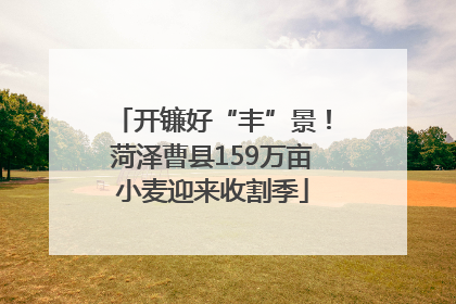 开镰好“丰”景！菏泽曹县159万亩小麦迎来收割季