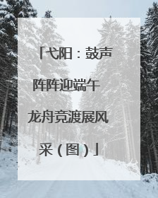 弋阳：鼓声阵阵迎端午 龙舟竞渡展风采（图）
