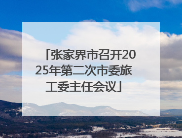 张家界市召开2025年第二次市委旅工委主任会议