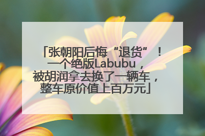 张朝阳后悔“退货”！一个绝版Labubu，被胡润拿去换了一辆车，整车原价值上百万元
