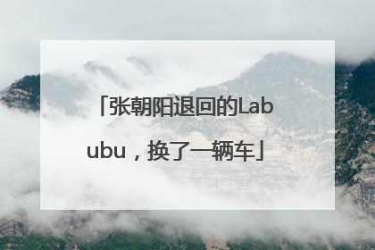 张朝阳退回的Labubu，换了一辆车