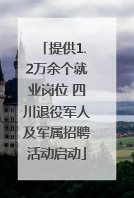 提供1.2万余个就业岗位 四川退役军人及军属招聘活动启动
