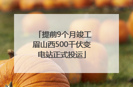 提前9个月竣工 眉山西500千伏变电站正式投运