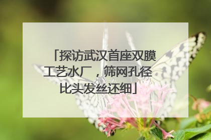 探访武汉首座双膜工艺水厂，筛网孔径比头发丝还细