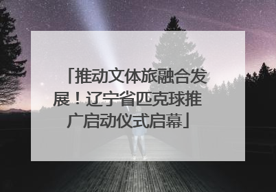 推动文体旅融合发展！辽宁省匹克球推广启动仪式启幕