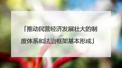 推动民营经济发展壮大的制度体系和法治框架基本形成