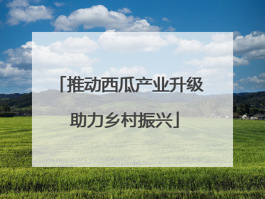 推动西瓜产业升级 助力乡村振兴
