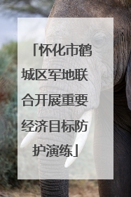 怀化市鹤城区军地联合开展重要经济目标防护演练
