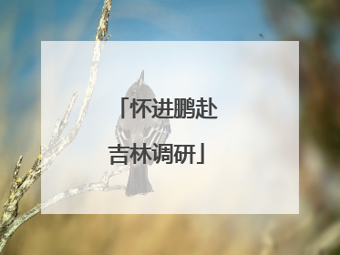 怀进鹏赴吉林调研