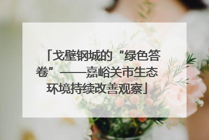 戈壁钢城的“绿色答卷”——嘉峪关市生态环境持续改善观察
