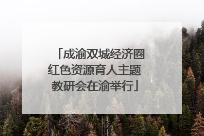 成渝双城经济圈红色资源育人主题教研会在渝举行