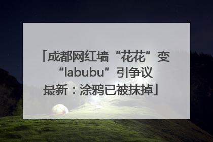 成都网红墙“花花”变“labubu”引争议 最新：涂鸦已被抹掉