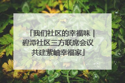我们社区的幸福味｜碧潭社区三方联席会议共建紫岫幸福家