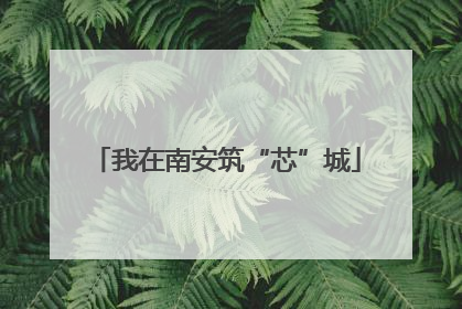 我在南安筑“芯”城