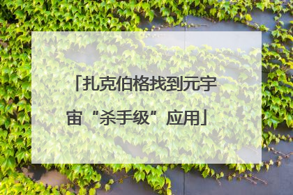 扎克伯格找到元宇宙“杀手级”应用