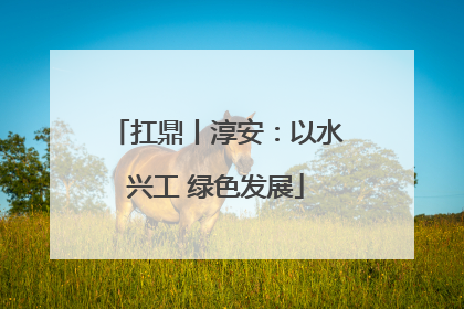 扛鼎丨淳安：以水兴工 绿色发展