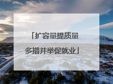 扩容量提质量 多措并举促就业