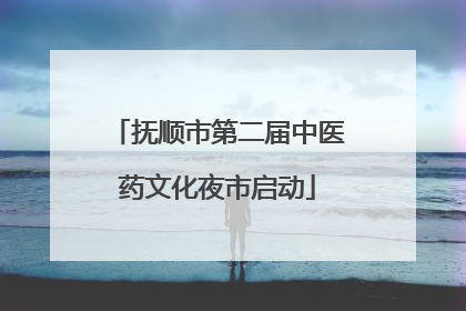 抚顺市第二届中医药文化夜市启动